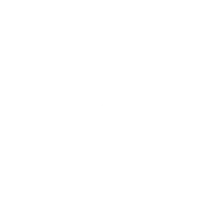 100% Renewable Energy